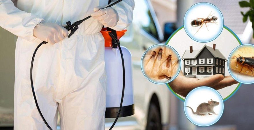 Başiskele Böcek İlaçlama