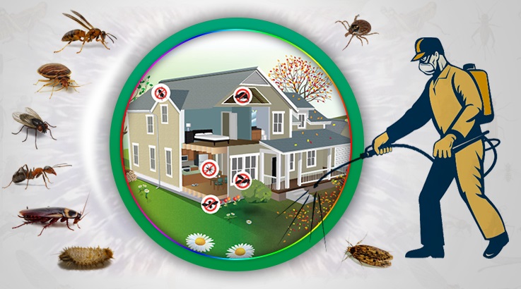 Başiskele Böcek İlaçlama