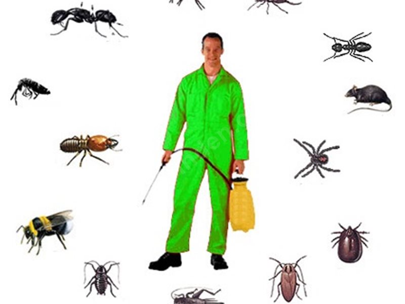 Başiskele Böcek İlaçlama